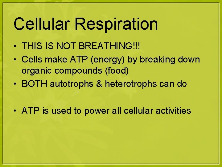 Cellular Respiration • THIS IS NOT BREATHING!!! • Cells make ATP (energy) by breaking