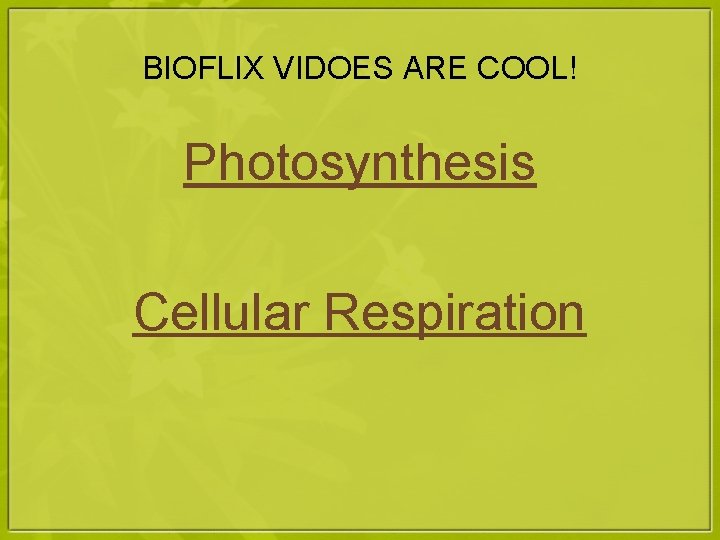 BIOFLIX VIDOES ARE COOL! Photosynthesis Cellular Respiration 