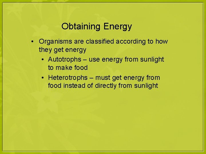 Obtaining Energy • Organisms are classified according to how they get energy • Autotrophs