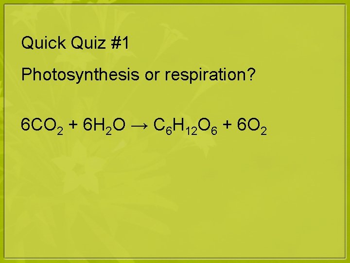 Quick Quiz #1 Photosynthesis or respiration? 6 CO 2 + 6 H 2 O