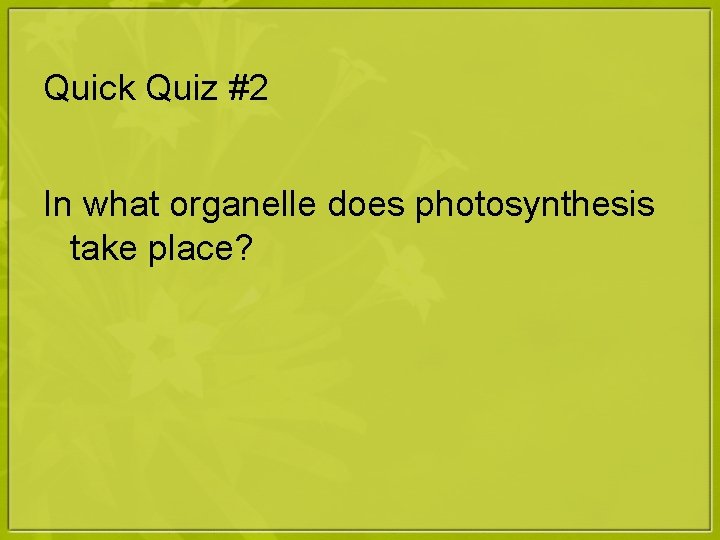 Quick Quiz #2 In what organelle does photosynthesis take place? 