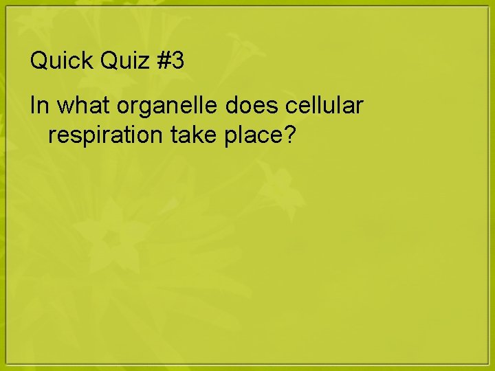 Quick Quiz #3 In what organelle does cellular respiration take place? 