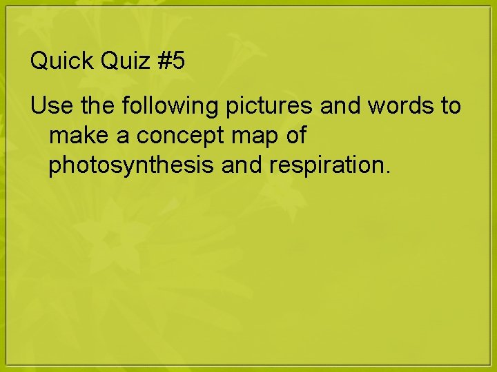 Quick Quiz #5 Use the following pictures and words to make a concept map