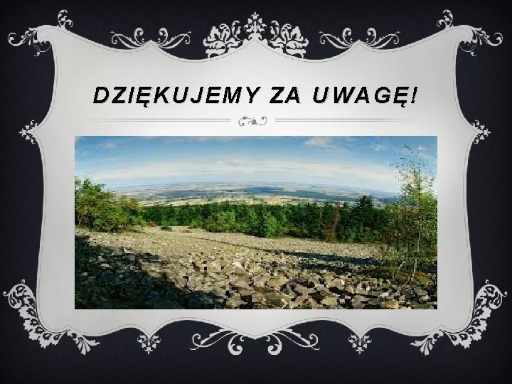 DZIĘKUJEMY ZA UWAGĘ! 