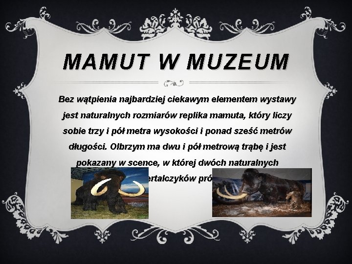 MAMUT W MUZEUM Bez wątpienia najbardziej ciekawym elementem wystawy jest naturalnych rozmiarów replika mamuta,