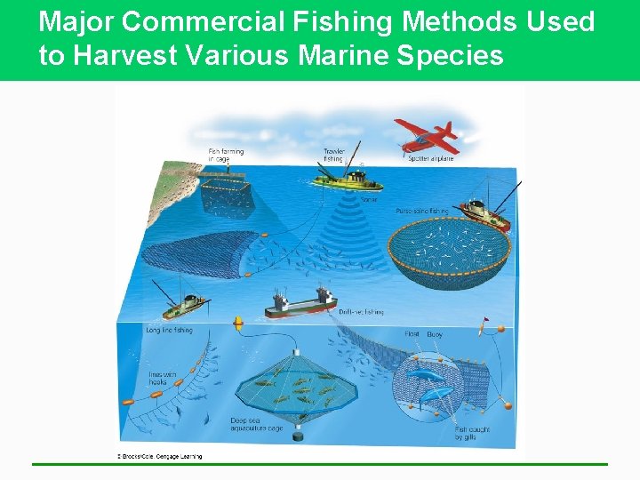 Major Commercial Fishing Methods Used to Harvest Various Marine Species 