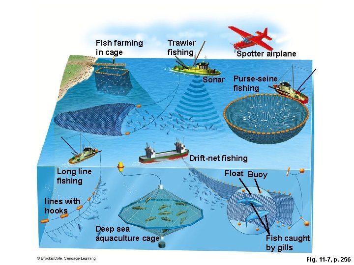 Fish farming in cage Trawler fishing Spotter airplane Sonar Purse-seine fishing Drift-net fishing Long