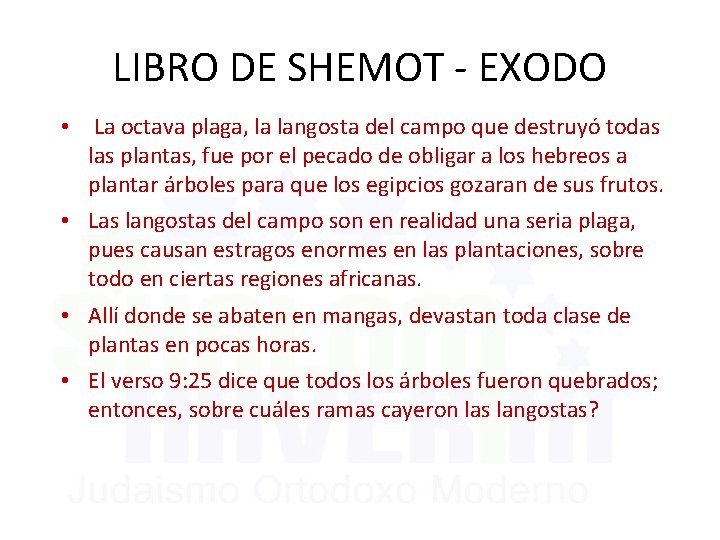 LIBRO DE SHEMOT - EXODO • La octava plaga, la langosta del campo que