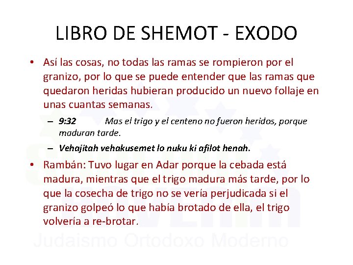 LIBRO DE SHEMOT - EXODO • Así las cosas, no todas las ramas se