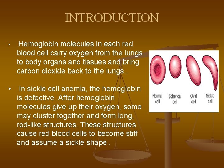 INTRODUCTION • Hemoglobin molecules in each red blood cell carry oxygen from the lungs