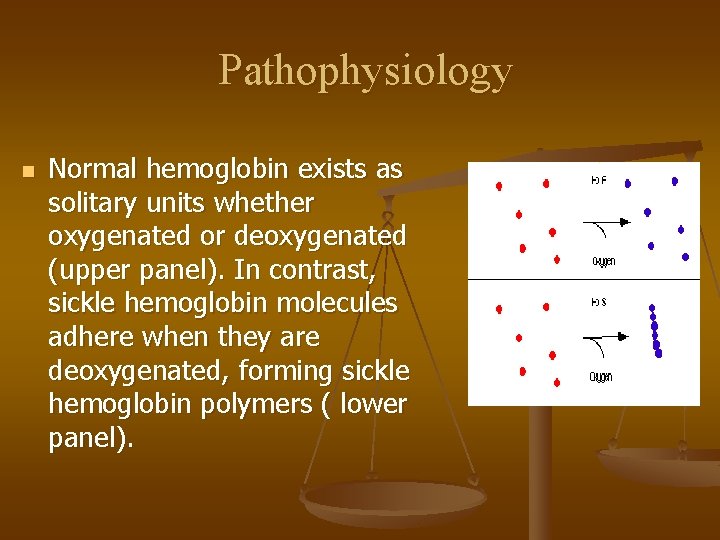 Pathophysiology n Normal hemoglobin exists as solitary units whether oxygenated or deoxygenated (upper panel).