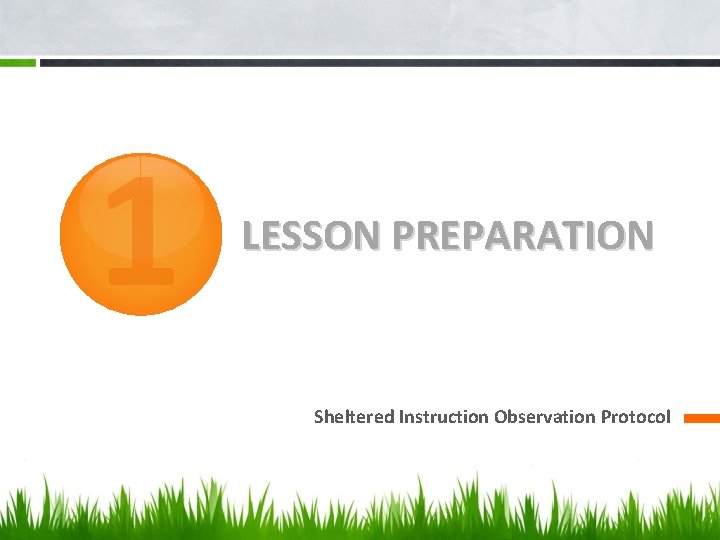 1 LESSON PREPARATION Sheltered Instruction Observation Protocol 