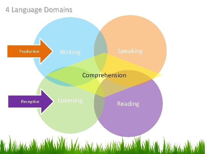 4 Language Domains Productive Speaking Writing Comprehension Receptive Listening Reading 