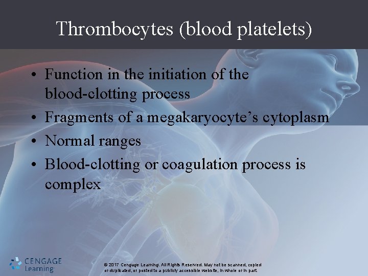 Thrombocytes (blood platelets) • Function in the initiation of the blood-clotting process • Fragments