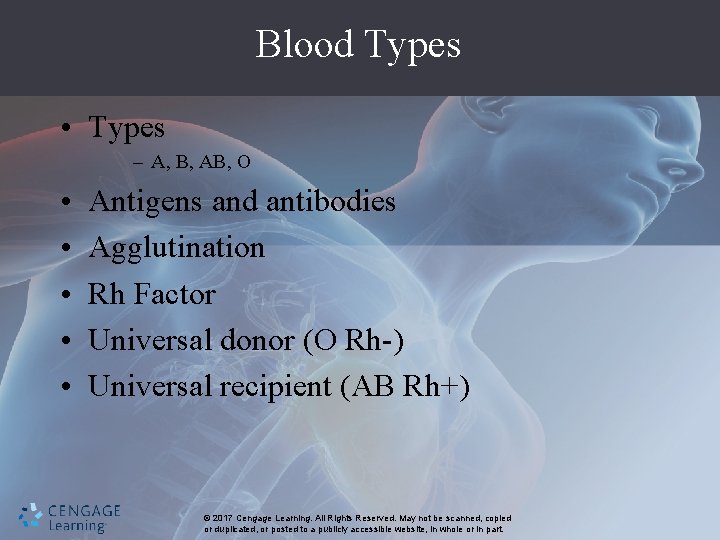 Blood Types • Types – A, B, AB, O • • • Antigens and