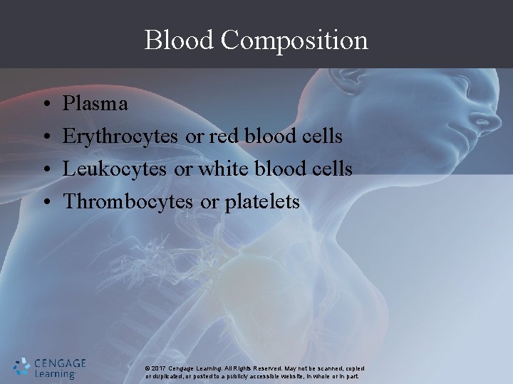 Blood Composition • • Plasma Erythrocytes or red blood cells Leukocytes or white blood