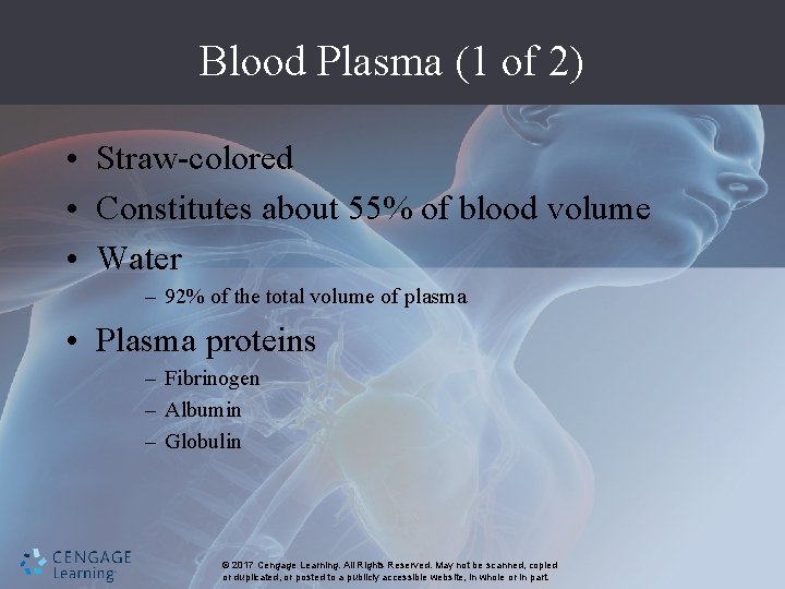 Blood Plasma (1 of 2) • Straw-colored • Constitutes about 55% of blood volume