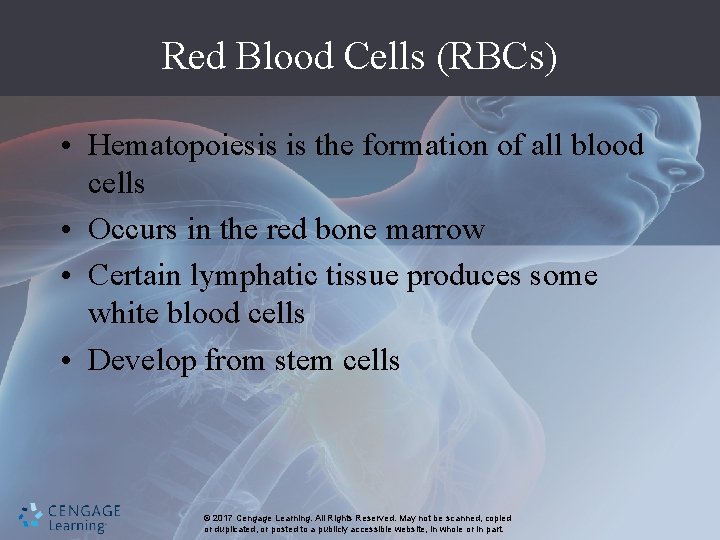 Red Blood Cells (RBCs) • Hematopoiesis is the formation of all blood cells •