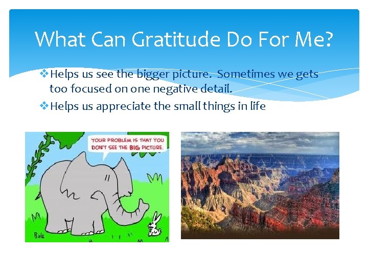 What Can Gratitude Do For Me? v. Helps us see the bigger picture. Sometimes