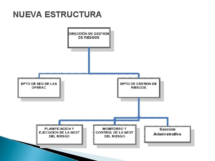 NUEVA ESTRUCTURA 