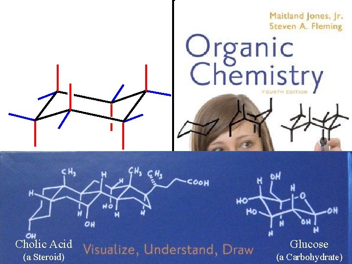 Cholic Acid Glucose (a Steroid) (a Carbohydrate) Cholic Acid Glucose (a Steroid) (a Carbohydrate)