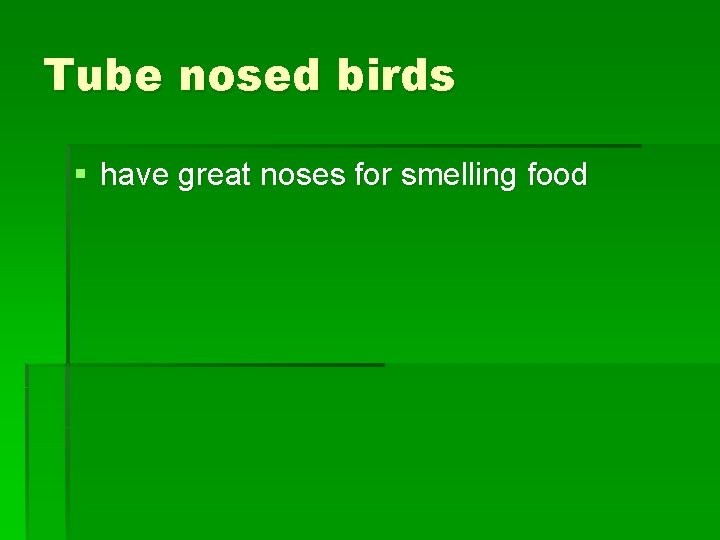 Tube nosed birds § have great noses for smelling food 