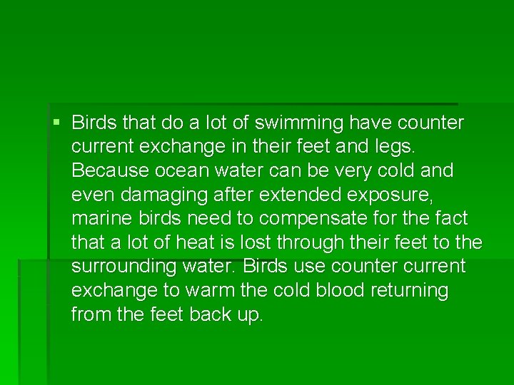 § Birds that do a lot of swimming have counter current exchange in their