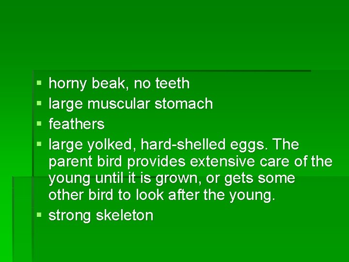 § § horny beak, no teeth large muscular stomach feathers large yolked, hard-shelled eggs.