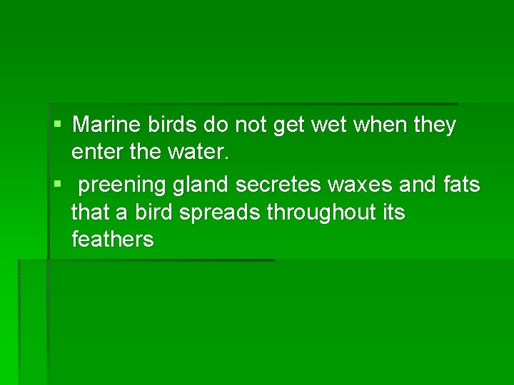 § Marine birds do not get when they enter the water. § preening gland