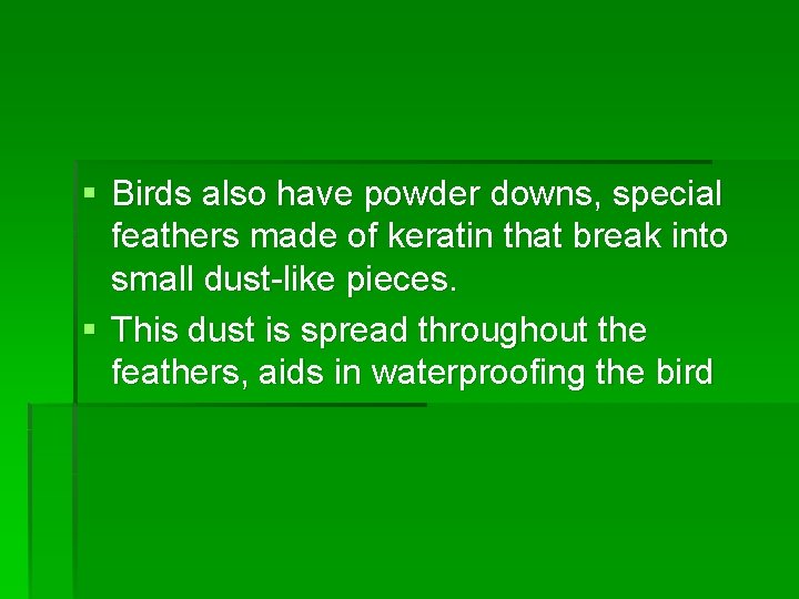 § Birds also have powder downs, special feathers made of keratin that break into