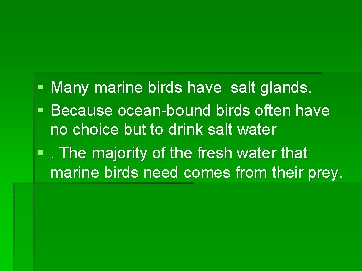 § Many marine birds have salt glands. § Because ocean-bound birds often have no