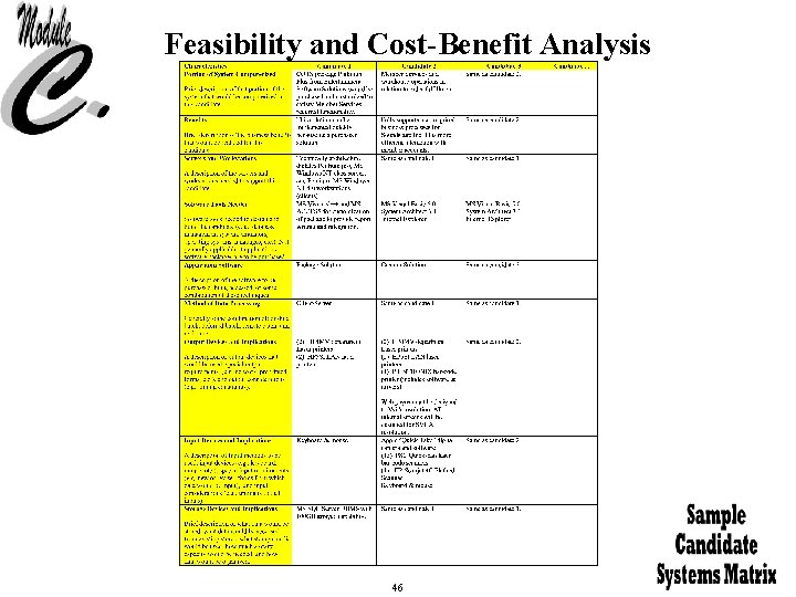 Feasibility and Cost-Benefit Analysis 46 