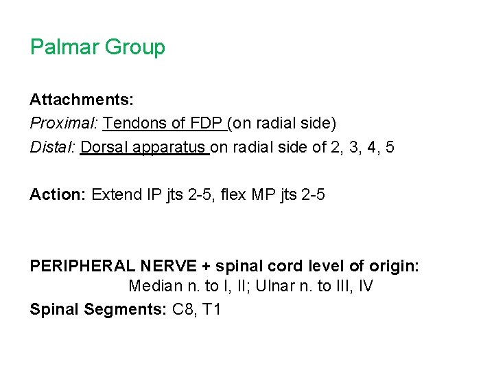 Palmar Group Attachments: Proximal: Tendons of FDP (on radial side) Distal: Dorsal apparatus on