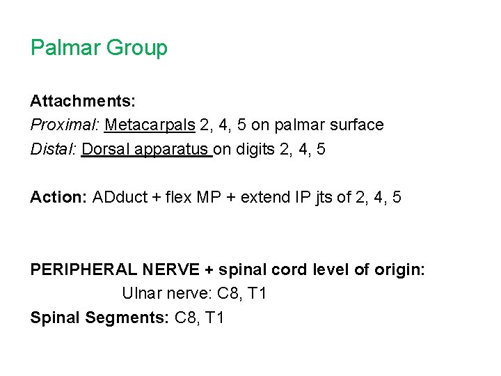 Palmar Group Attachments: Proximal: Metacarpals 2, 4, 5 on palmar surface Distal: Dorsal apparatus