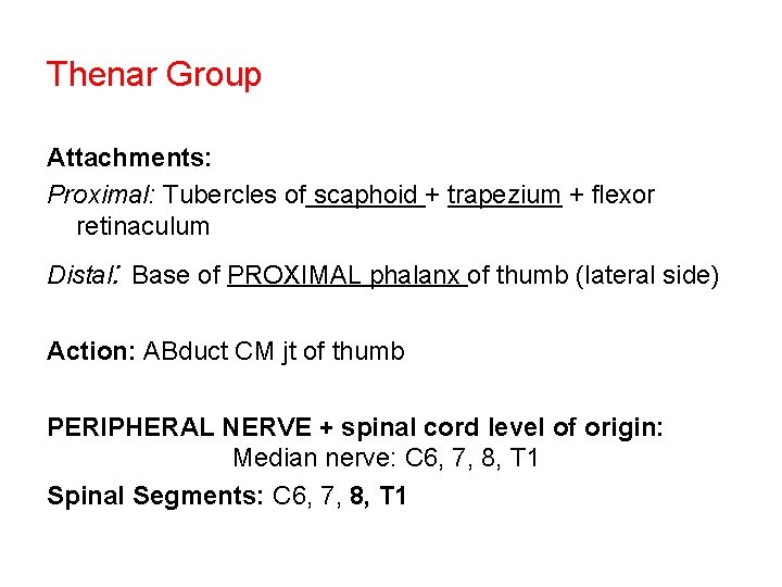 Thenar Group Attachments: Proximal: Tubercles of scaphoid + trapezium + flexor retinaculum Distal: Base