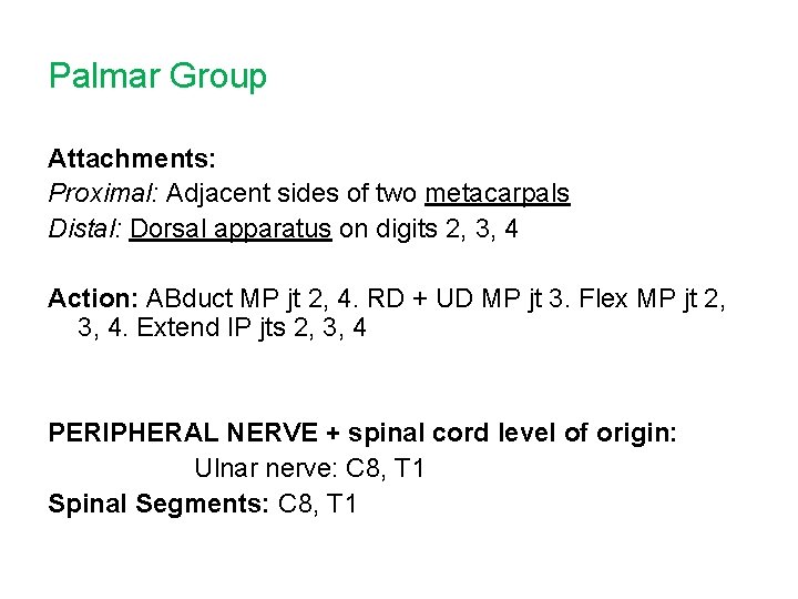 Palmar Group Attachments: Proximal: Adjacent sides of two metacarpals Distal: Dorsal apparatus on digits