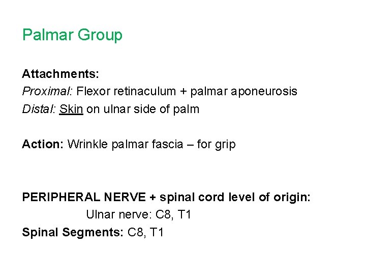 Palmar Group Attachments: Proximal: Flexor retinaculum + palmar aponeurosis Distal: Skin on ulnar side