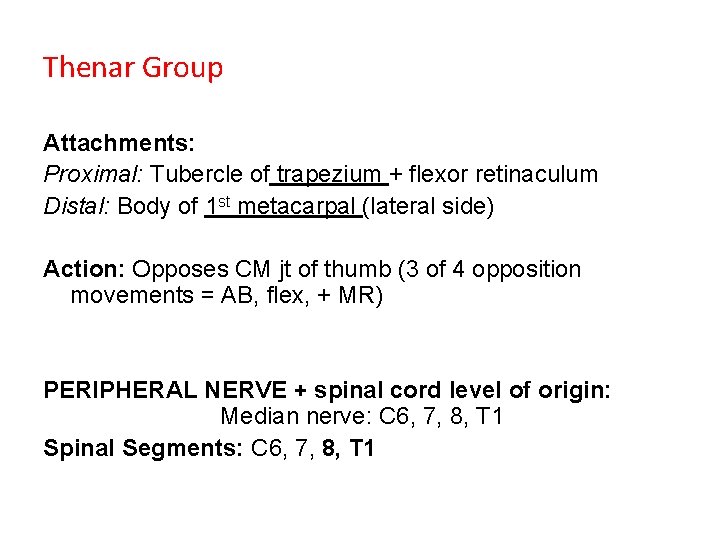 Thenar Group Attachments: Proximal: Tubercle of trapezium + flexor retinaculum Distal: Body of 1