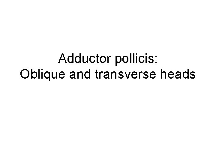 Adductor pollicis: Oblique and transverse heads 