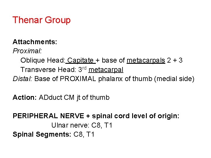Thenar Group Attachments: Proximal: Oblique Head: Capitate + base of metacarpals 2 + 3