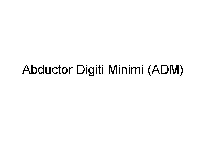 Abductor Digiti Minimi (ADM) 