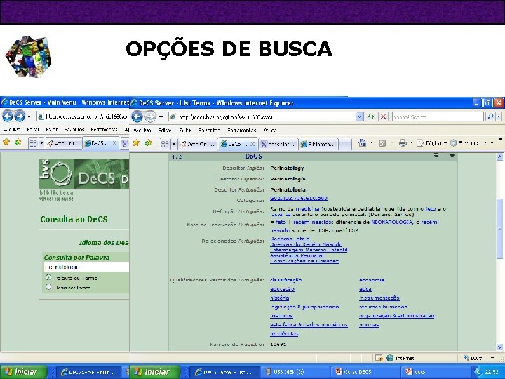 OPÇÕES DE BUSCA 