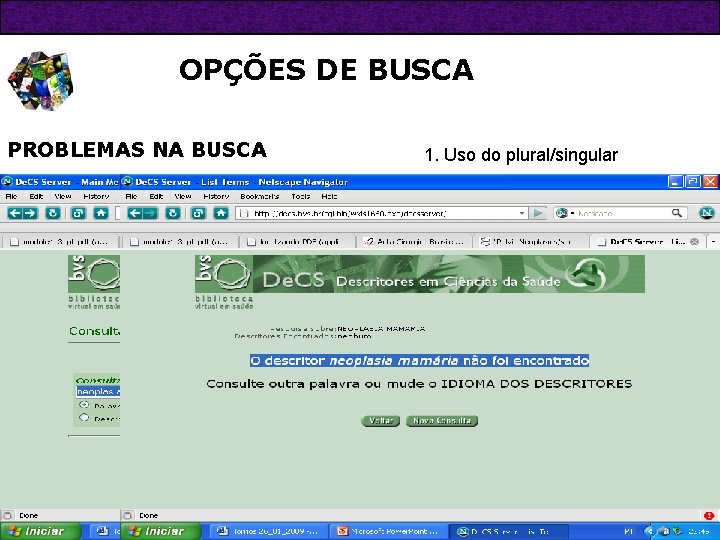 OPÇÕES DE BUSCA PROBLEMAS NA BUSCA 1. Uso do plural/singular 