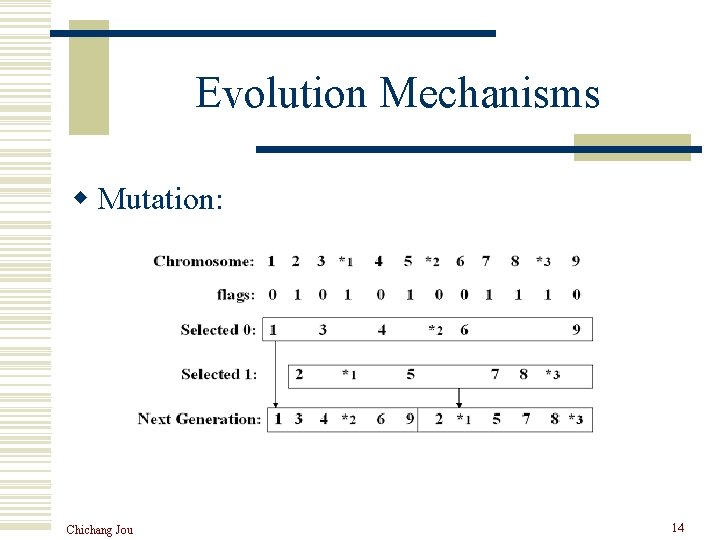 Evolution Mechanisms w Mutation: Chichang Jou 14 