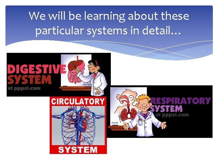 We will be learning about these particular systems in detail… 