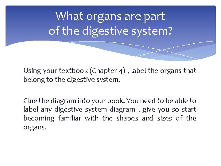 What organs are part of the digestive system? Using your textbook (Chapter 4) ,