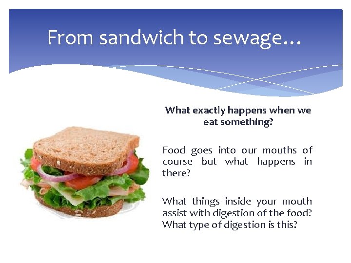From sandwich to sewage… What exactly happens when we eat something? Food goes into