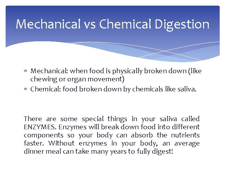 Mechanical vs Chemical Digestion Mechanical: when food is physically broken down (like chewing or