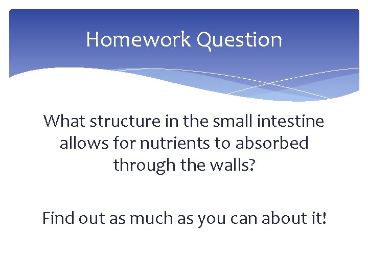 Homework Question What structure in the small intestine allows for nutrients to absorbed through