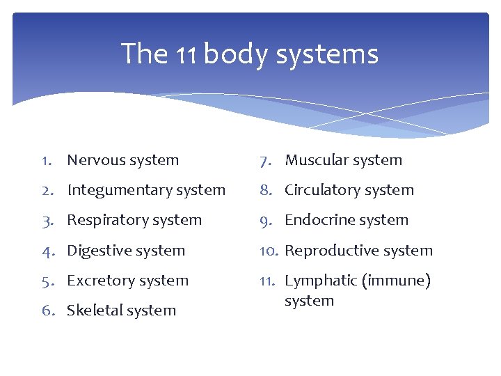 The 11 body systems 1. Nervous system 7. Muscular system 2. Integumentary system 8.